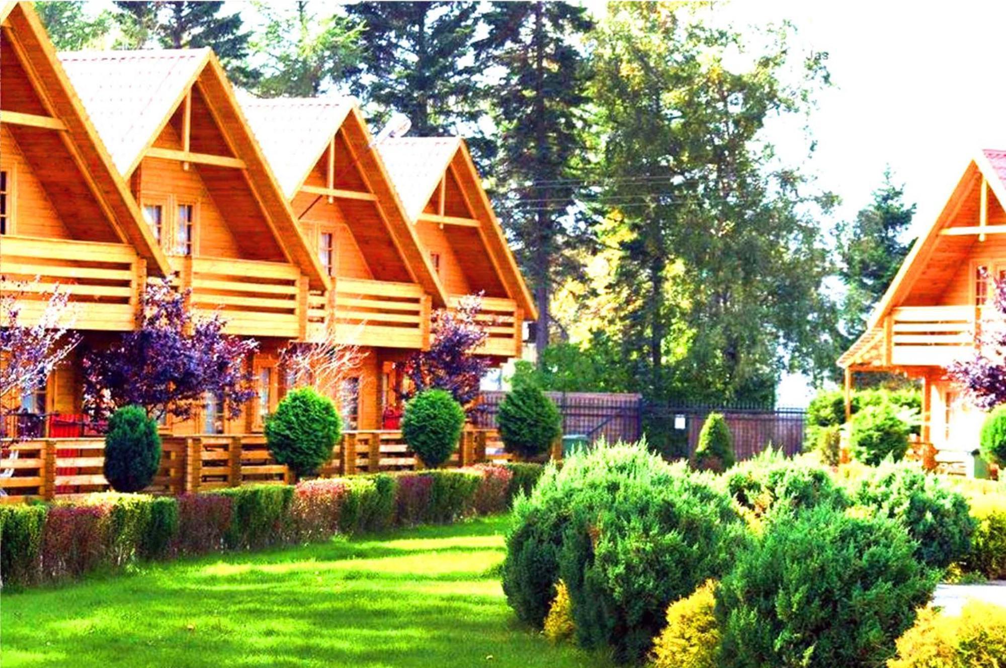 Hotel Neptun Jastrzębia Góra Dış mekan fotoğraf